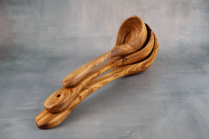 Lengyel olajfa 30 cm